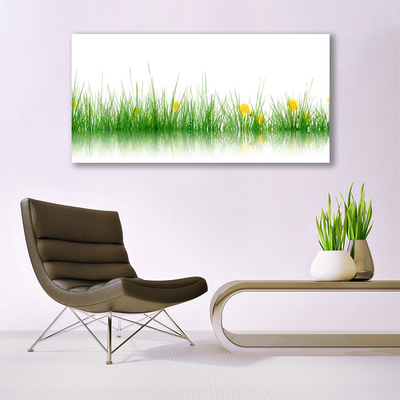 Quadro su tela Fiori di erba della natura