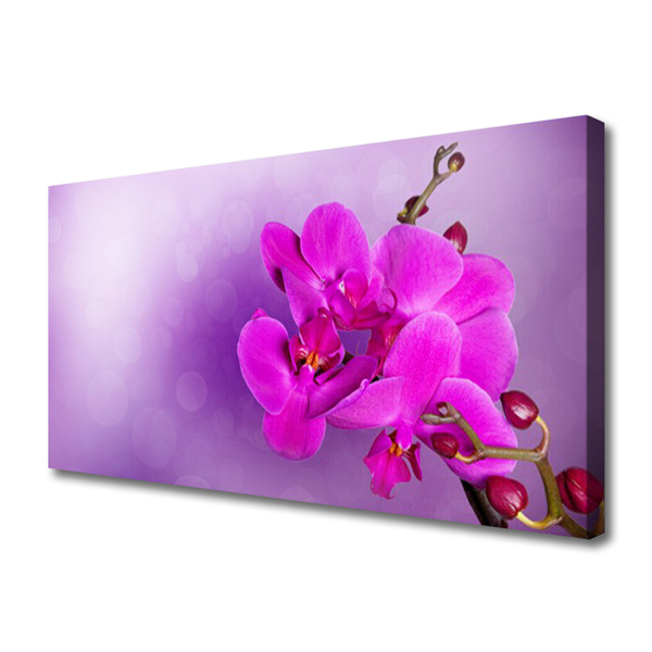 Quadro su tela Petali di fiori di un'orchidea