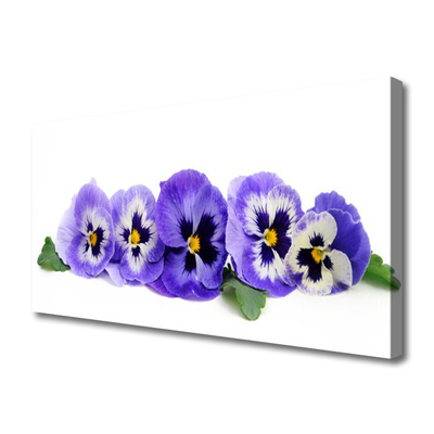 Quadro su tela Petali di fiori di viole del pensiero