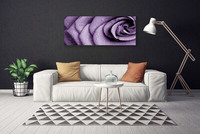 Foto quadro su tela Pianta di fiori di rosa
