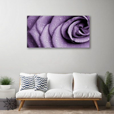 Foto quadro su tela Pianta di fiori di rosa