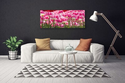 Quadro su tela Tulipani, fiori, natura