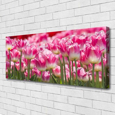 Quadro su tela Tulipani, fiori, natura