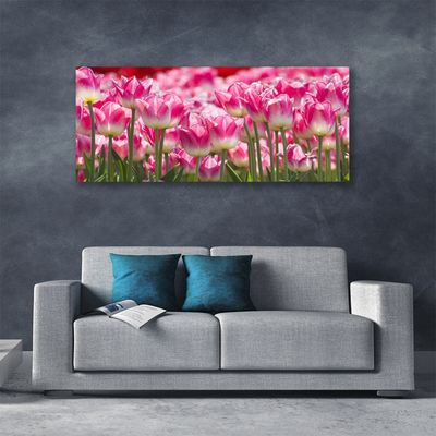 Quadro su tela Tulipani, fiori, natura