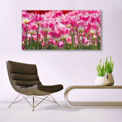 Quadro su tela Tulipani, fiori, natura