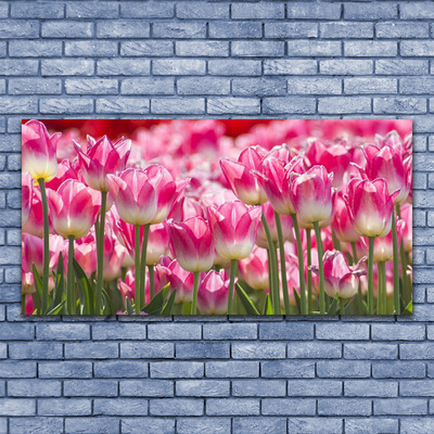 Quadro su tela Tulipani, fiori, natura