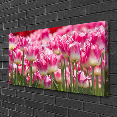 Quadro su tela Tulipani, fiori, natura