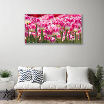 Quadro su tela Tulipani, fiori, natura