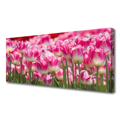 Quadro su tela Tulipani, fiori, natura