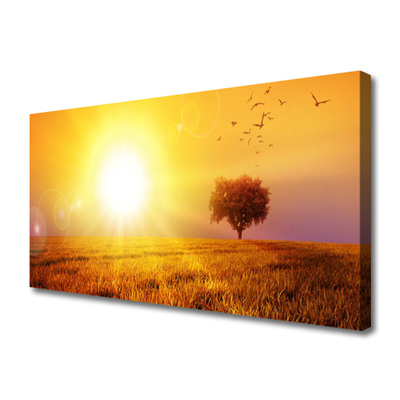 Quadro su tela Uccelli del prato al tramonto