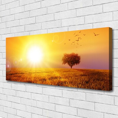 Quadro su tela Uccelli del prato al tramonto