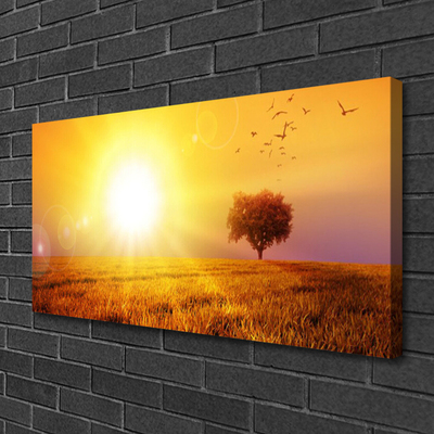 Quadro su tela Uccelli del prato al tramonto