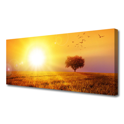 Quadro su tela Uccelli del prato al tramonto