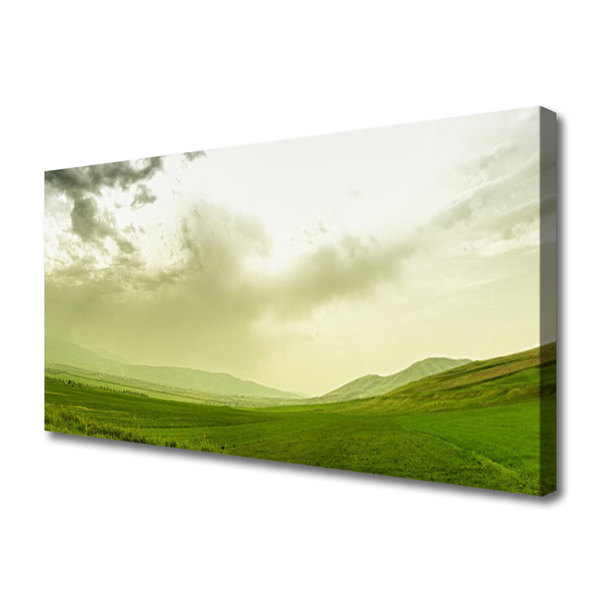 Quadro su tela Vista della natura del prato verde