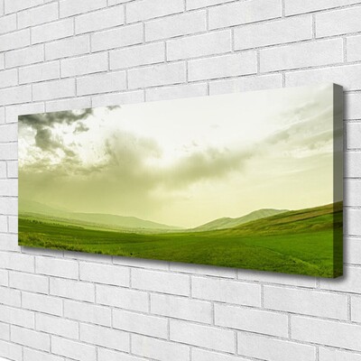 Quadro su tela Vista della natura del prato verde