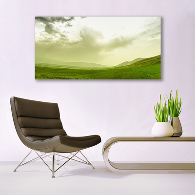 Quadro su tela Vista della natura del prato verde