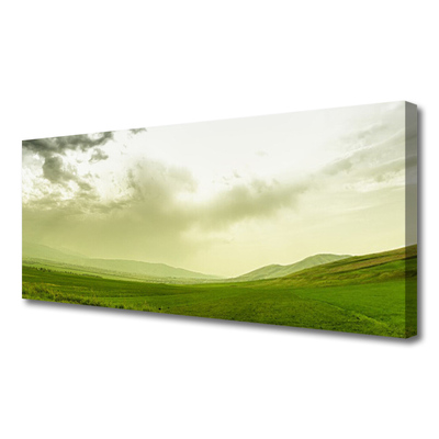 Quadro su tela Vista della natura del prato verde