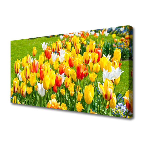 Quadro su tela Tulipani, fiori, natura