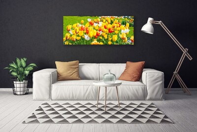 Quadro su tela Tulipani, fiori, natura