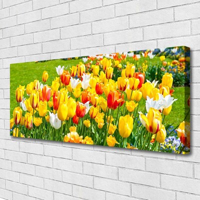 Quadro su tela Tulipani, fiori, natura