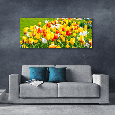 Quadro su tela Tulipani, fiori, natura