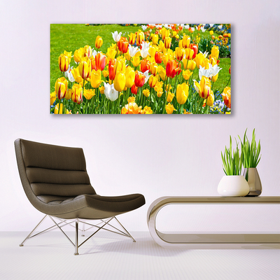 Quadro su tela Tulipani, fiori, natura