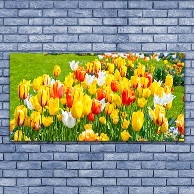 Quadro su tela Tulipani, fiori, natura