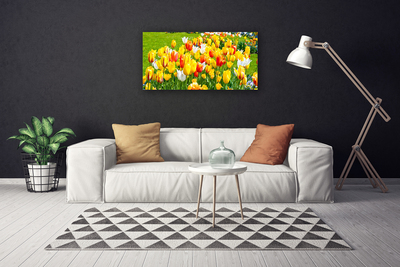 Quadro su tela Tulipani, fiori, natura