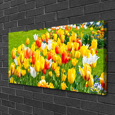 Quadro su tela Tulipani, fiori, natura