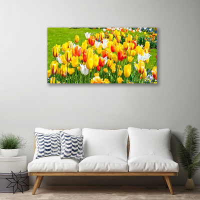 Quadro su tela Tulipani, fiori, natura