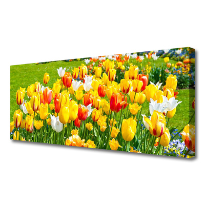 Quadro su tela Tulipani, fiori, natura