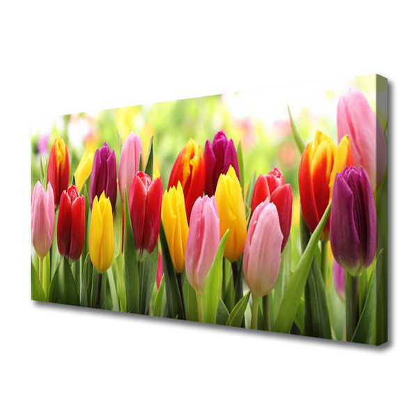 Quadro su tela Tulipani, fiori, natura