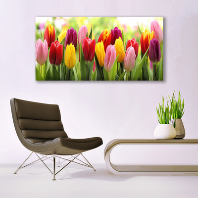 Quadro su tela Tulipani, fiori, natura