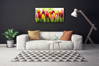 Quadro su tela Tulipani, fiori, natura