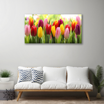 Quadro su tela Tulipani, fiori, natura