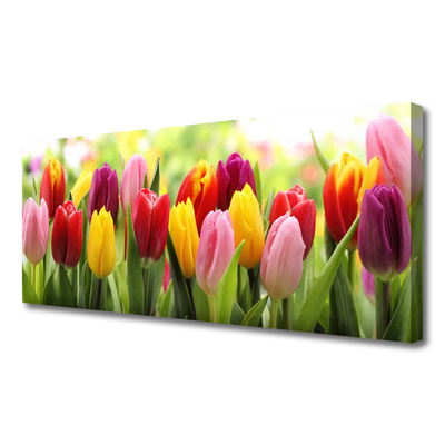 Quadro su tela Tulipani, fiori, natura