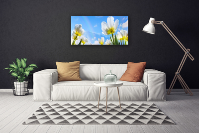 Quadro su tela Piante, fiori, tulipani