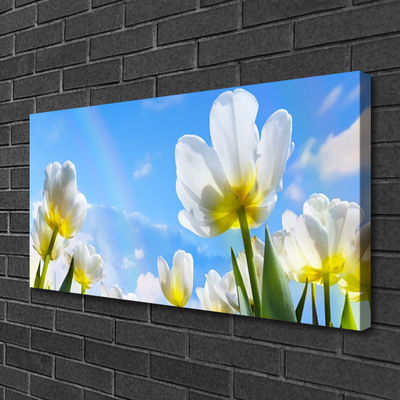 Quadro su tela Piante, fiori, tulipani