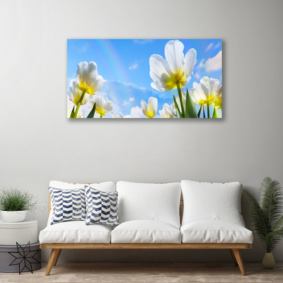 Quadro su tela Piante, fiori, tulipani