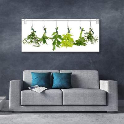 Stampa quadro su tela Foglie di erbe naturali