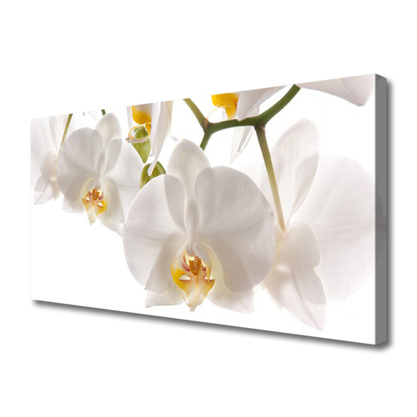 Quadro su tela Fiori di orchidea Natura