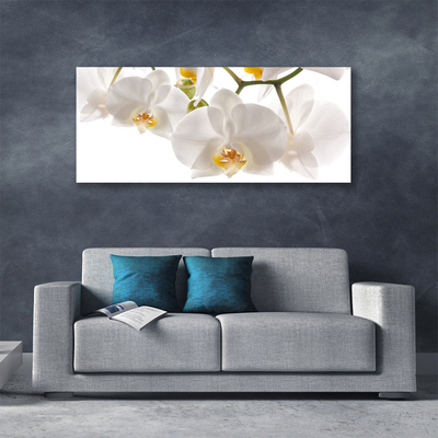 Quadro su tela Fiori di orchidea Natura