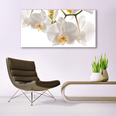 Quadro su tela Fiori di orchidea Natura