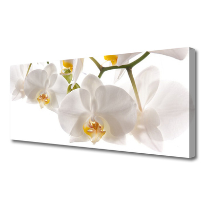 Quadro su tela Fiori di orchidea Natura