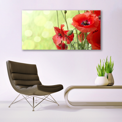 Quadro su tela Papaveri, fiori, natura