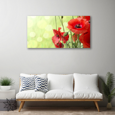 Quadro su tela Papaveri, fiori, natura