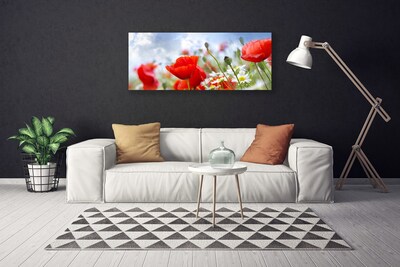 Quadro su tela Papaveri Margherita Fiori