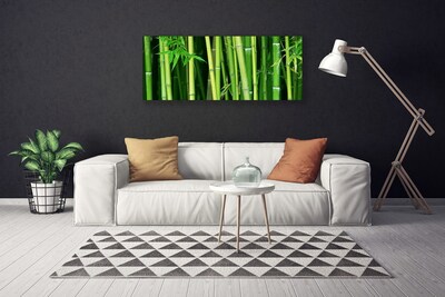 Quadro su tela Foresta di bambù Natura di bambù