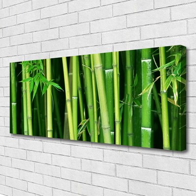 Quadro su tela Foresta di bambù Natura di bambù