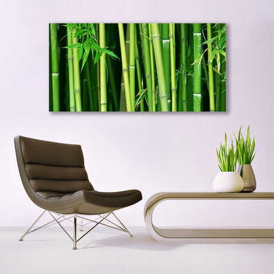 Quadro su tela Foresta di bambù Natura di bambù